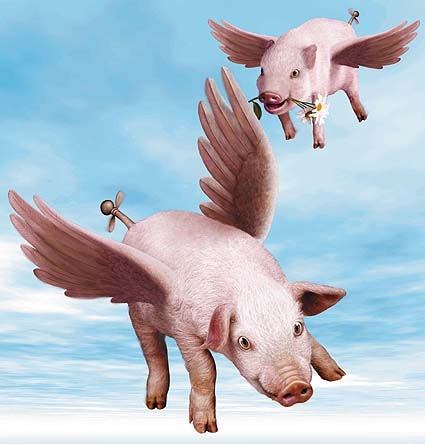 FlyingPigs